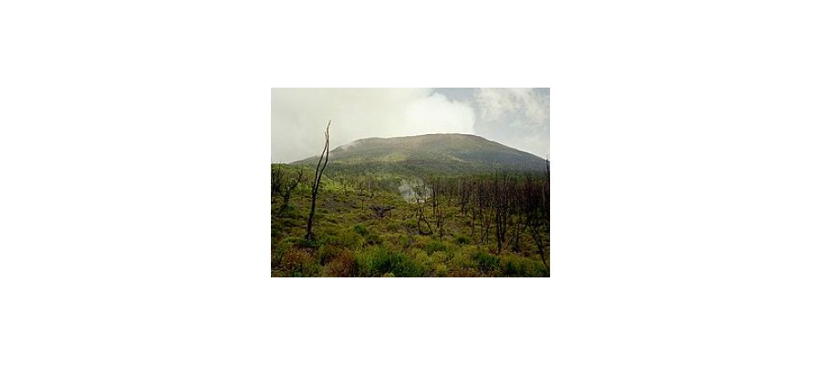 Image:Parcs nationaux congolais (RDC)