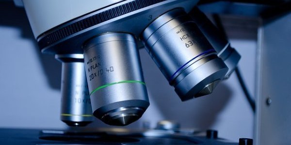 Image:Sciences