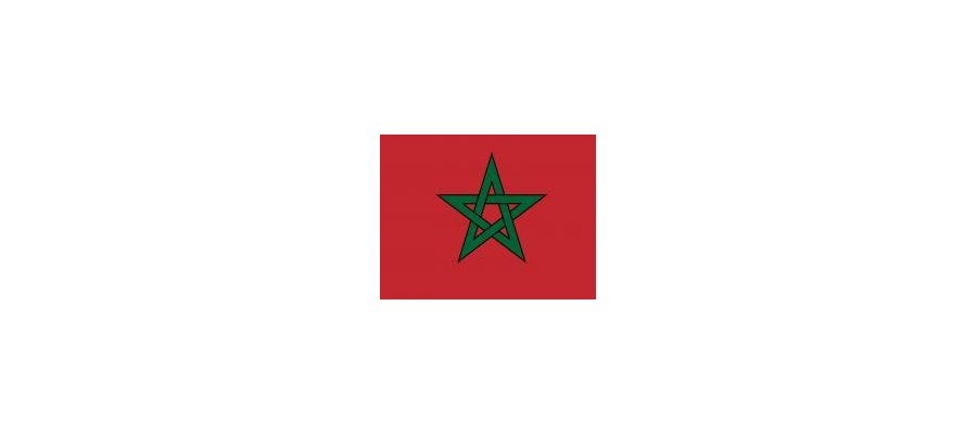 Image:MAROC : nouvelle constitution, entre audace et prudence